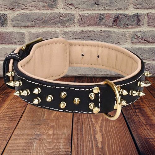 Dog Collars