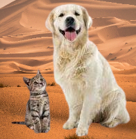 Exploring the World of Pet-Related Queries and Trends