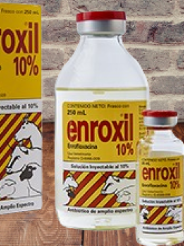 Enroxil 10 – What It Is and How to Use It