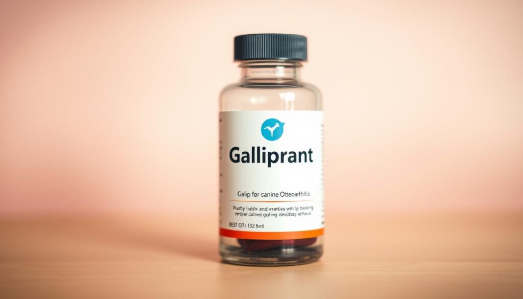 galliprant-for-pain